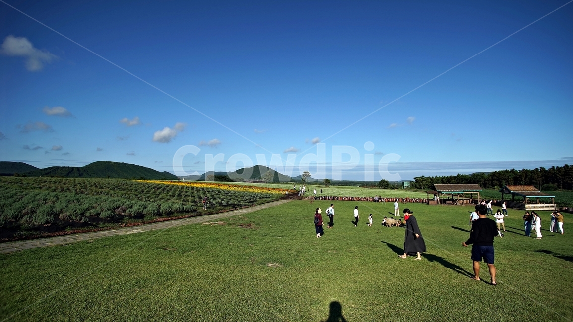 제주도,맑음,하늘,human,인간,person,사람,grass,잔디,식물,옥외,들,field