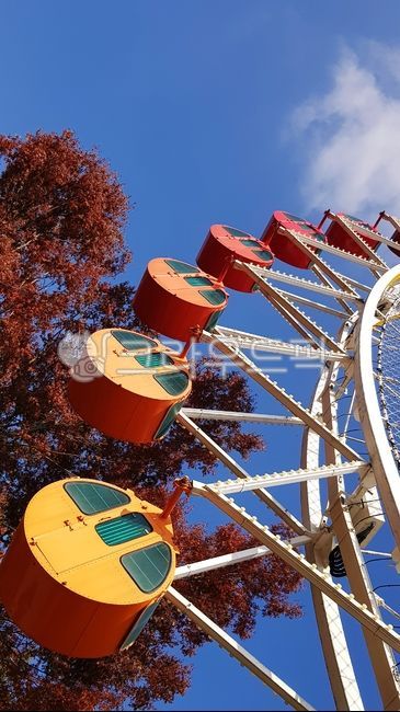 가을,단풍,가을느낌,가을이미지,알록달록,관람차,놀이기구