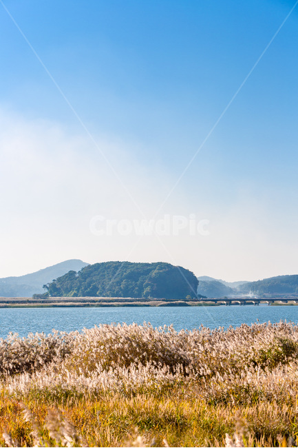 우움도,갈대,구름,하늘,감성,습지,풍경,가을,계절,fall,autumn,season,자연,풍경,nature,landscape,한국자연풍경,한국자연경관,korea nature landscape,land,땅,outdoors,옥외,shoreline,해안선,water,물,sea,바다,ocean,대양,coast,연안