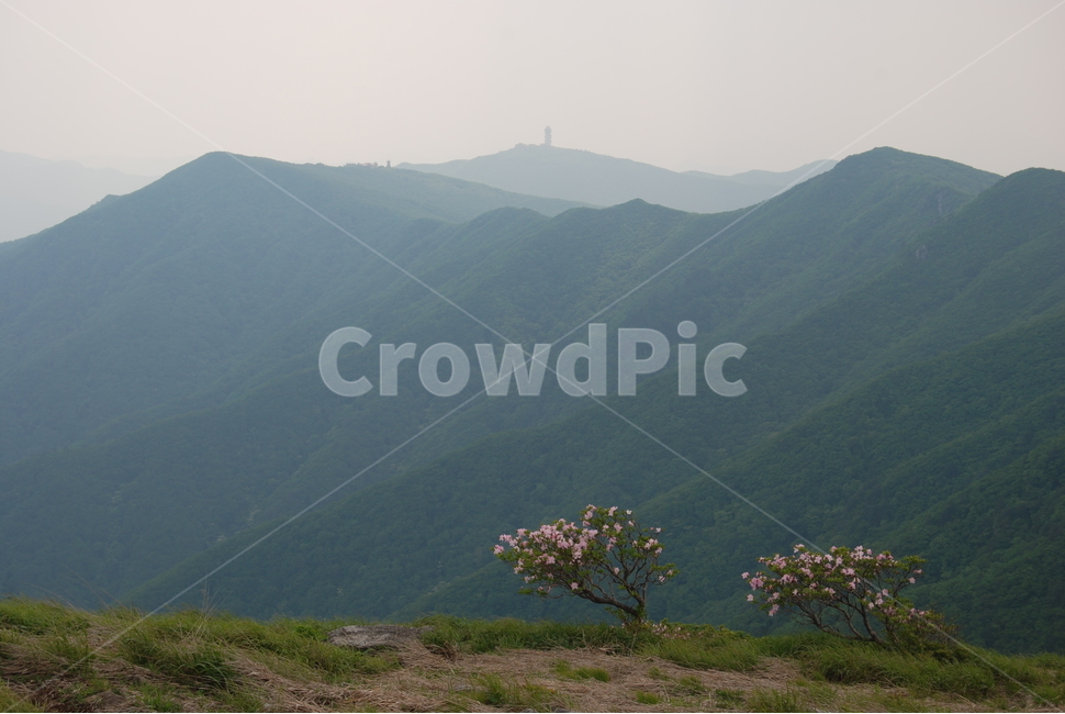 산,mountain,tree,nature,trail,등산로,자연,풍경,nature,landscape,outdoors,옥외,slope,경사,mountain range,산맥