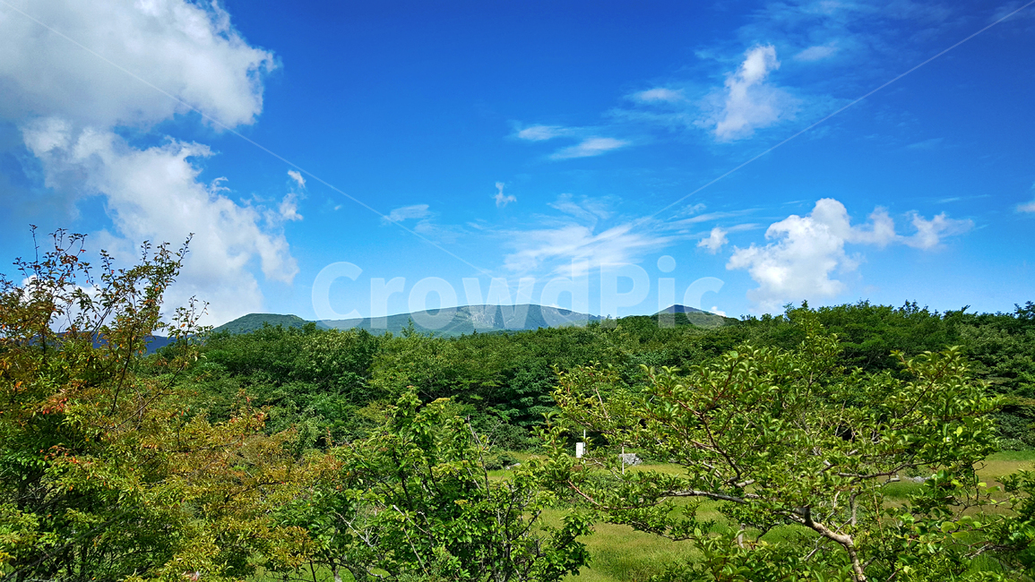 제주,한라산,1100고지,한라산1100고지,산,제주도,자연,nature,outdoors,옥외,자연,풍경,nature,landscape