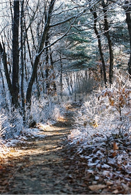 산,겨울,눈꽃,상고대,설산,자연,풍경,winter,season,nature,landscape,겨울,계절,winter,season,자연,풍경,nature,landscape,outdoors,옥외,frost,서리,snow,눈