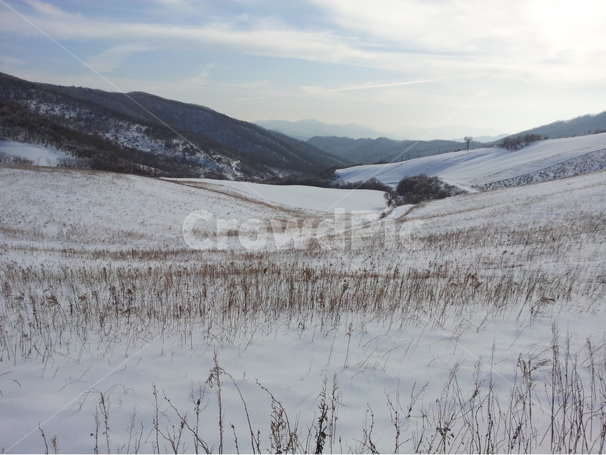 오대산,설경,눈,겨울,상고대,국립공원,자연,겨울,계절,winter,season,자연,풍경,nature,landscape,한국자연풍경,한국자연경관,korea nature landscape,outdoors,옥외