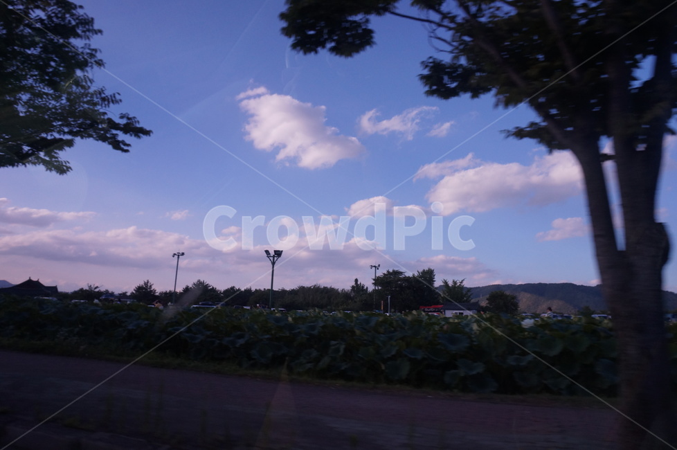 outdoors,옥외,nature,자연,노을