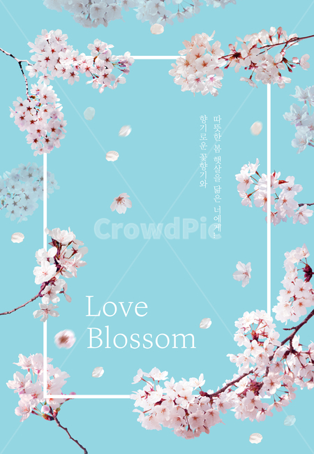 벚꽃,꽃,프레임,봄,감성,봄,계절,spring,season,꽃,flower,그래픽,일러스트레이션,graphic,illustration,plant,blossom,cherry blossom,,봄,계절,spring,season,식물,자연,plants,nature,그래픽,일러스트레이션,graphic,illustration,plant,blossom,cherry blossom,,봄,계절,spring,season,식물,자연,plants,nature,꽃,flower,plant,blossom,cherry blossom,