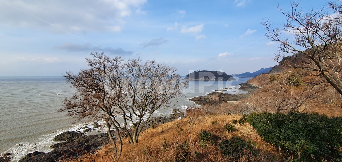 nature,자연,land,water,물,ocean,대양,sea,shoreline,바다,나무,자연,풍경,nature,landscape