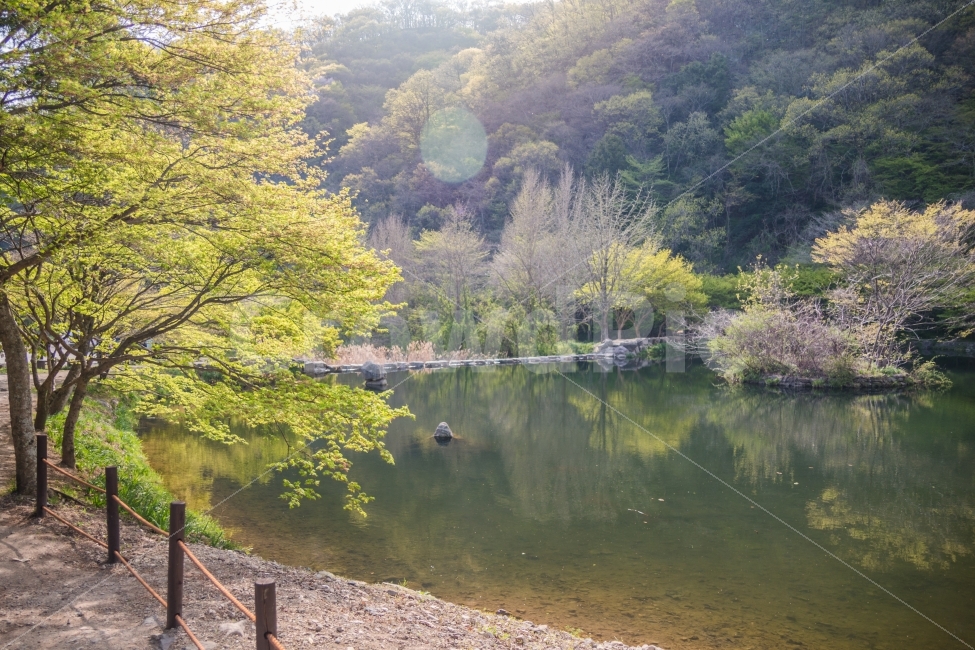 풍경,백양사,산,계곡,봄,부드러움,자연,풍경,nature,landscape,water,물,outdoors,옥외