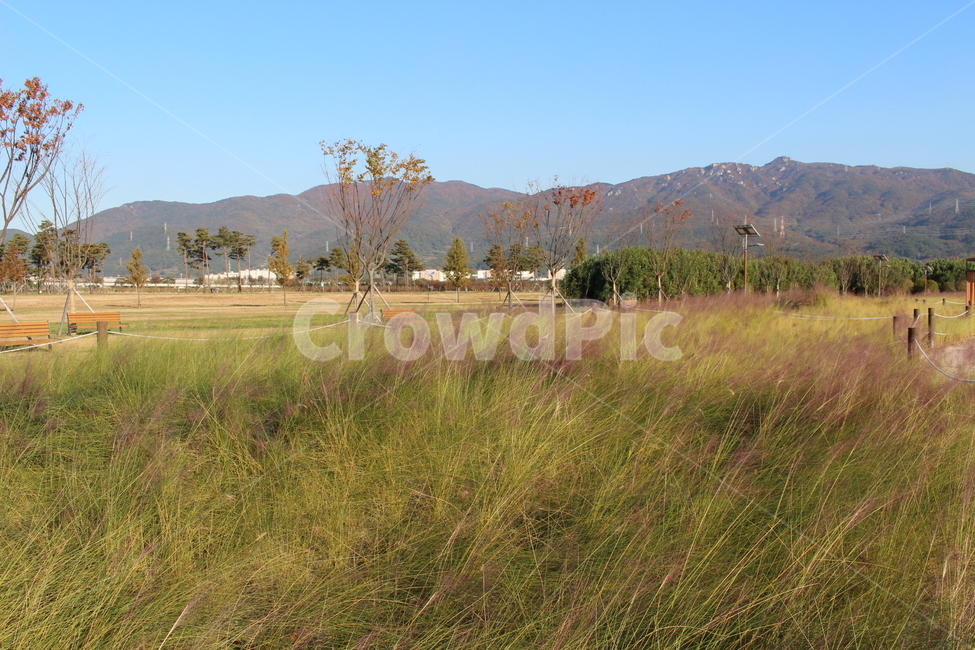 field,목초지,들,nature,outdoors,자연,옥외,grassland