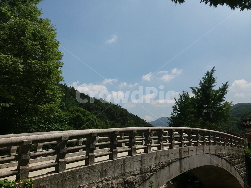 하늘,다리,맑음,산,나무