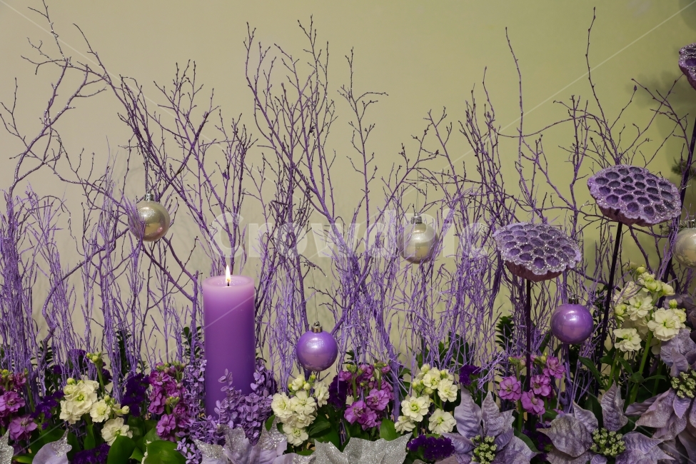 촛불,나무,년말,연하장,크리스마스,꽃,flower,인테리어,실내디자인,interior design