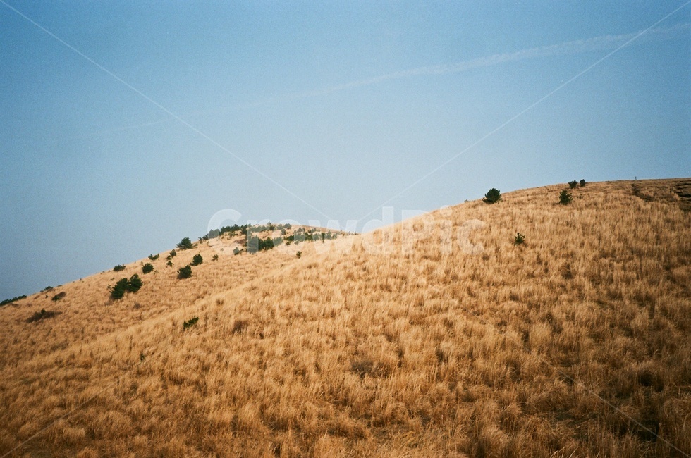 제주,제주풍경,필름사진,filmphotography,filmphoto,제주도,오름,용눈이오름,yongnunioreum,volcaniccone,자연,nuture,풍경,oreum,기생화산,jejuisland