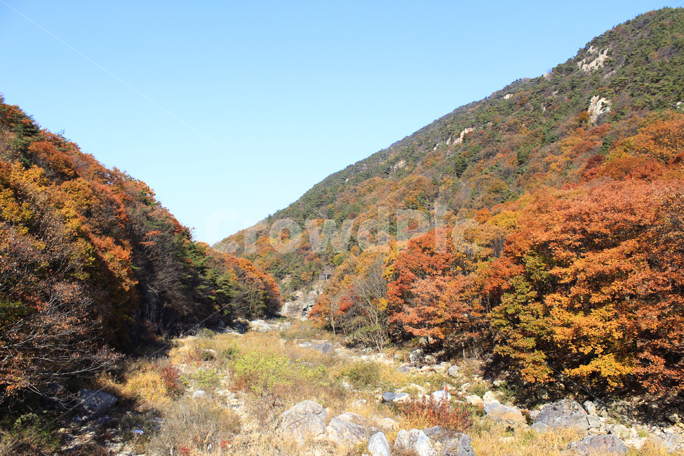 가을,단풍,풍경,산맥,산,등산,등산로,다채로운,낙엽,주황색,초록색,나무