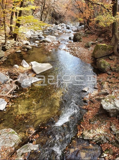 water,자연,nature,게곡,단풍