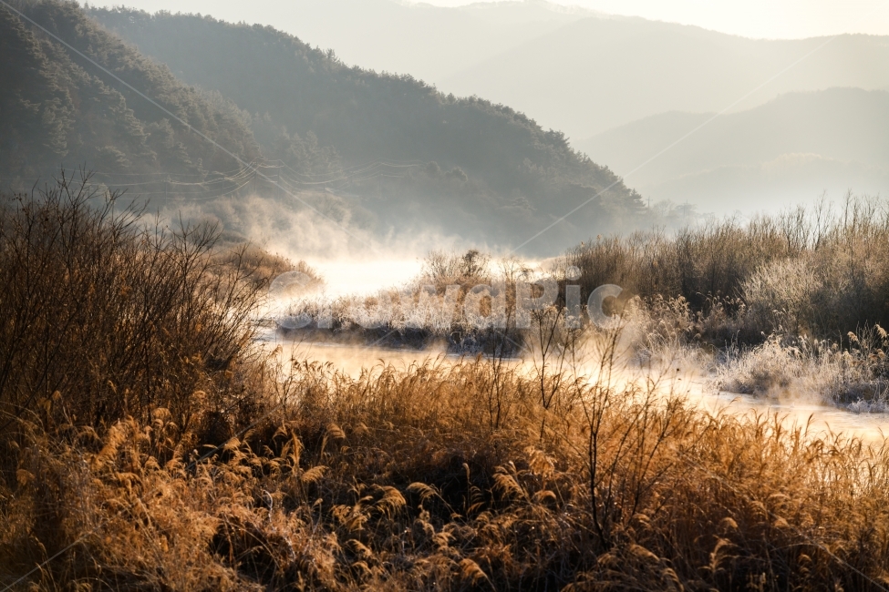 풍경,겨울,겨울풍경,상고대,갈대,감성,겨울,계절,winter,season,자연,풍경,nature,landscape,한국자연풍경,한국자연경관,korea nature landscape,outdoors,옥외