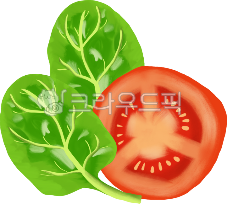 Healthy food,summer,salad ingredients,diet,weight loss,diet food,poke,salad illustration,salad,vegetables,vegetables,salad image,diet illustration,salad vegetables,diet exercise,tomato,diet,kale,vitamins,red beet,basil,chicory,bok ch