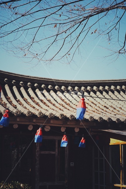 한국,한옥,호로불,필름,기와,나무,낙엽