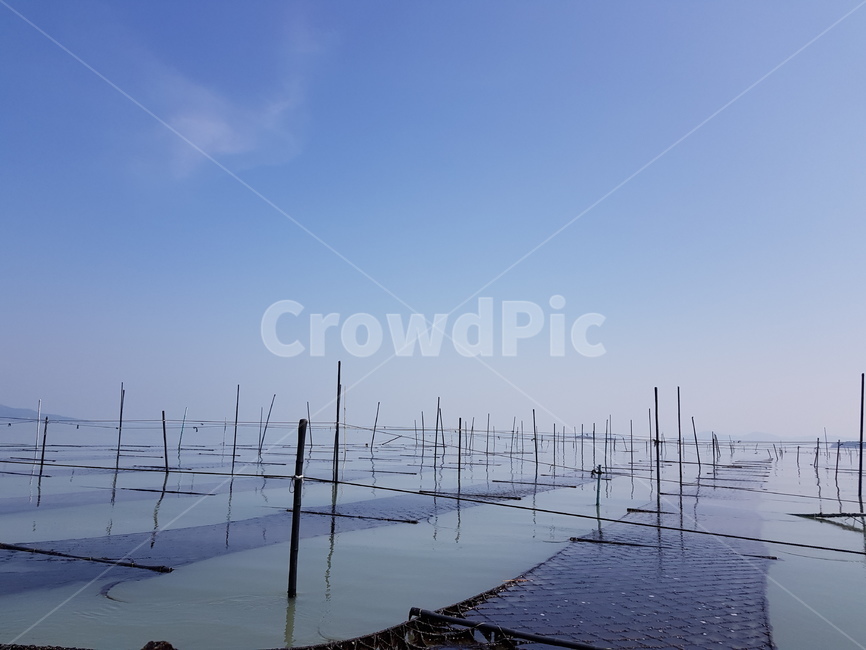 김,양식장,바다,수평선,해초,laver,horizontalline,alaverfarm