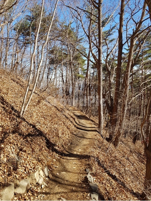 가을,나무,흙길,오솔길,산속