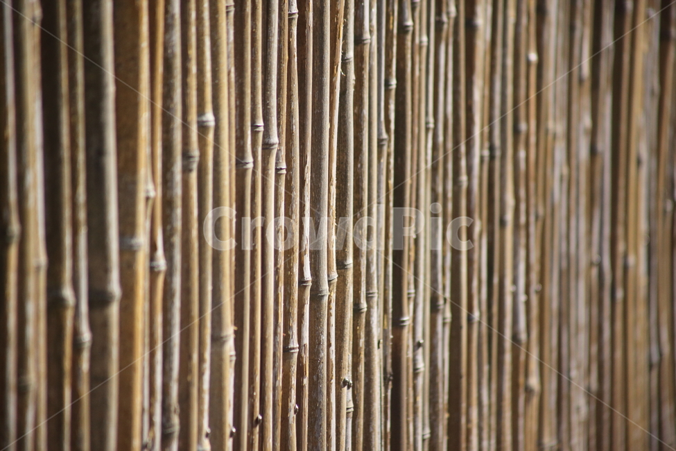 가림막,벽,장식,대나무,bamboo