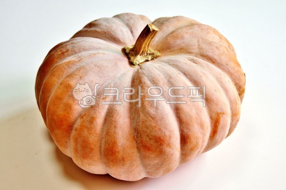 호박,식재료,채소,늙은호박,먹거리,음식,농산물,건강식품,요리재료,food,pumpkin