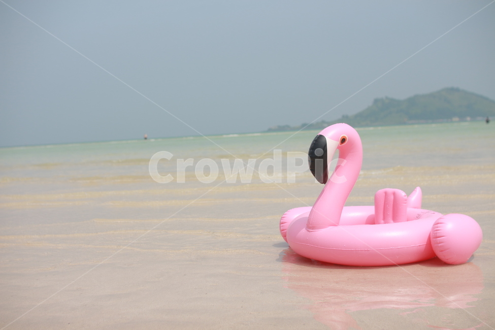 튜브,홍학튜브,바닷가,바다,물놀이,바다에튜브,해변,바다,beach,sea,여행,휴가,traveling,vacation,trip