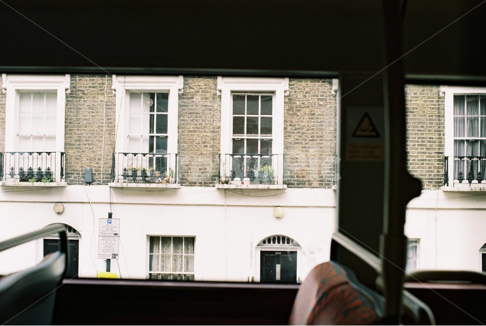 창가,창문,화분,꽃,window,flower,필름,필름사진,필름카메라,필카,film,filmphoto,filmphotogrph