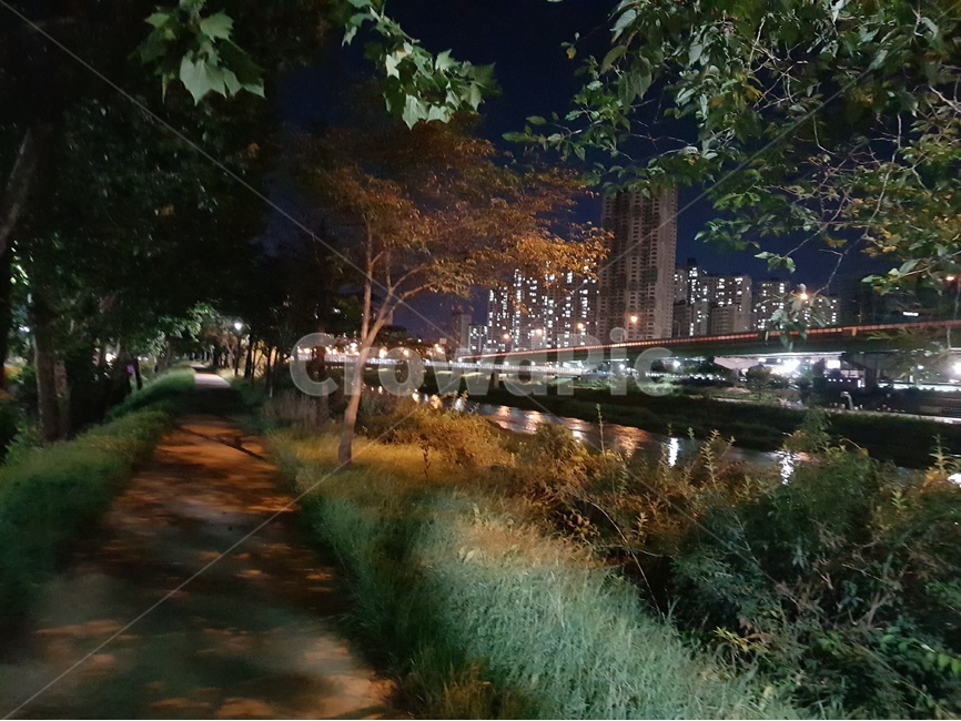 안양천,공원,퇴근길,여름,자연,야경,밤,풍경,nightscape,night,landscape,도시,city,한국도시풍경,한국도시경관,korea cityscape,water,물