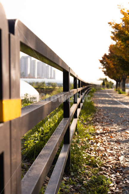 난간,가을,banister,handrail,railing,가을,계절,fall,autumn,season