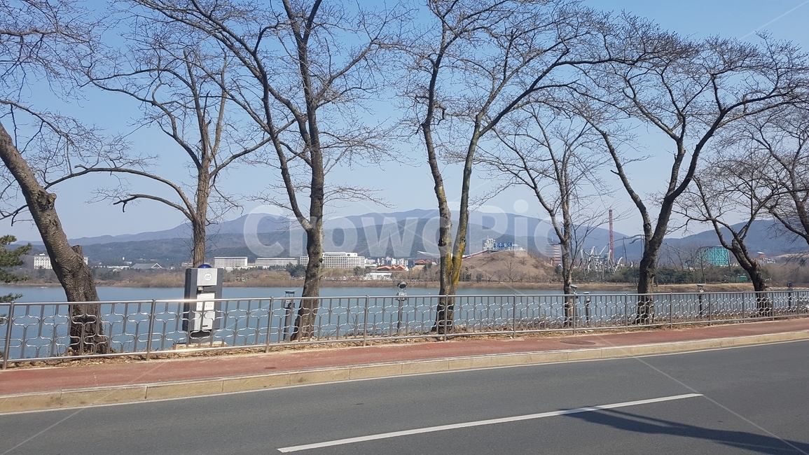 도로,풍경,나무,하늘,경치