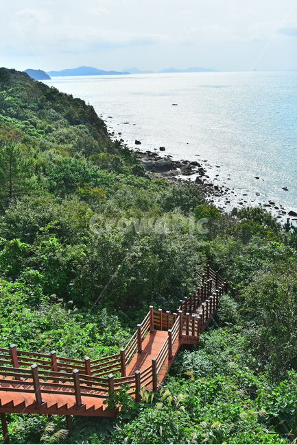 바닷가,섬,다도해,남해안,해안가,숲,자연,nature,island,forest,deck,데크,나무계단,산책로,풍경,beach,coast,theseaside,힐링,healing,배경,바탕,백그라운드,background,난간,한적한,전망,해상국립공원,theseashore,한국자연경관,자연,풍경,nature,landscape