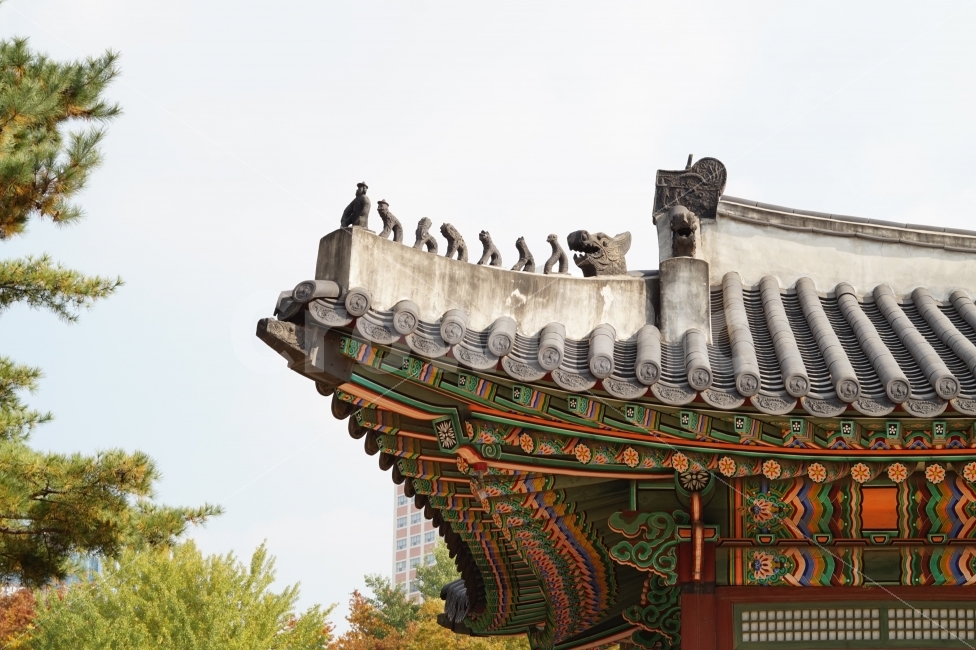 한국,덕수궁,가을,기와,여행,풍경,서울,지붕,처마,한국전통,한국문화,korean traditional,korean culture,랜드마크,landmark,tourist attraction,한국랜드마크,한국관광지,한국명소,korea landmark,korea tourist attraction,건축물,건물외관,exterior,building,structure,architecture,construction