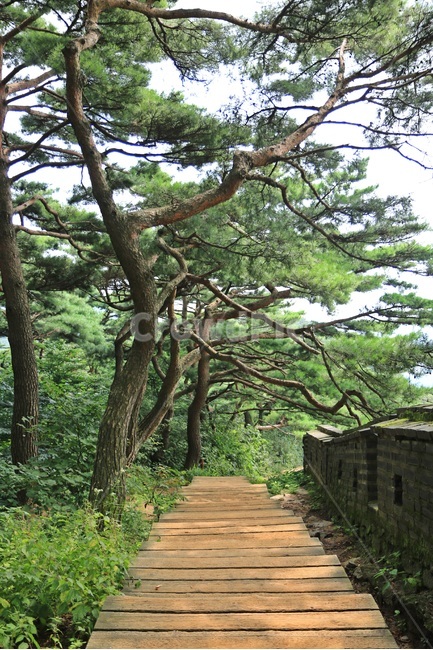 남한산성,산성,namhansanseongfortress,mountainfortress,namhansanseong,자연,풍경,nature,landscape,한국전통,한국문화,korean traditional,korean culture,arbour,정자,garden,정원,outdoors,옥외