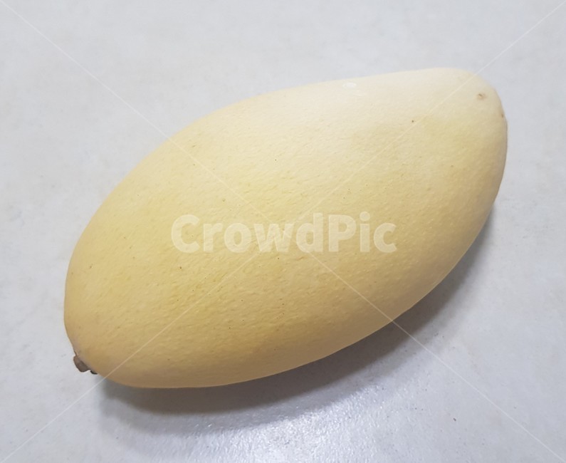 망고,mango,fruit,plant,식물,과일,노란색,노랑