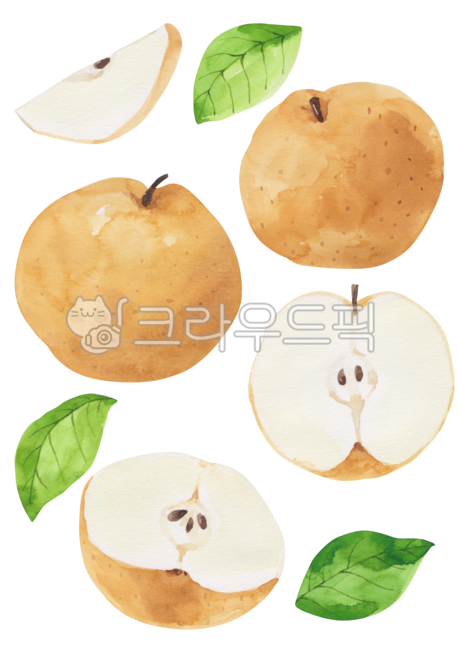 Drawing,Fresh,Cooking,Illustration,fruit,pattern,Vintage,Plant,pear,leaves,fall,drawing,Sweet,Handmade,Food,Nature,Pattern,Fruit,Background,Refreshing,Ingredients,leaf,Deco,autumng,food,Painting,Decoration,watercolor,painting,plant,Object,illustration,Wat