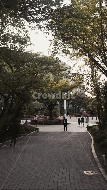 배경,봄,길,산책,산책로,나무,식물,걷기,보행,보행로,깨끗한,토익,도시,자연,거리,건물,한산한,공공장소,tree,plant,city,toeic,pathway,nature,building,publicplace,토익리스닝,정원,garden,park,공원