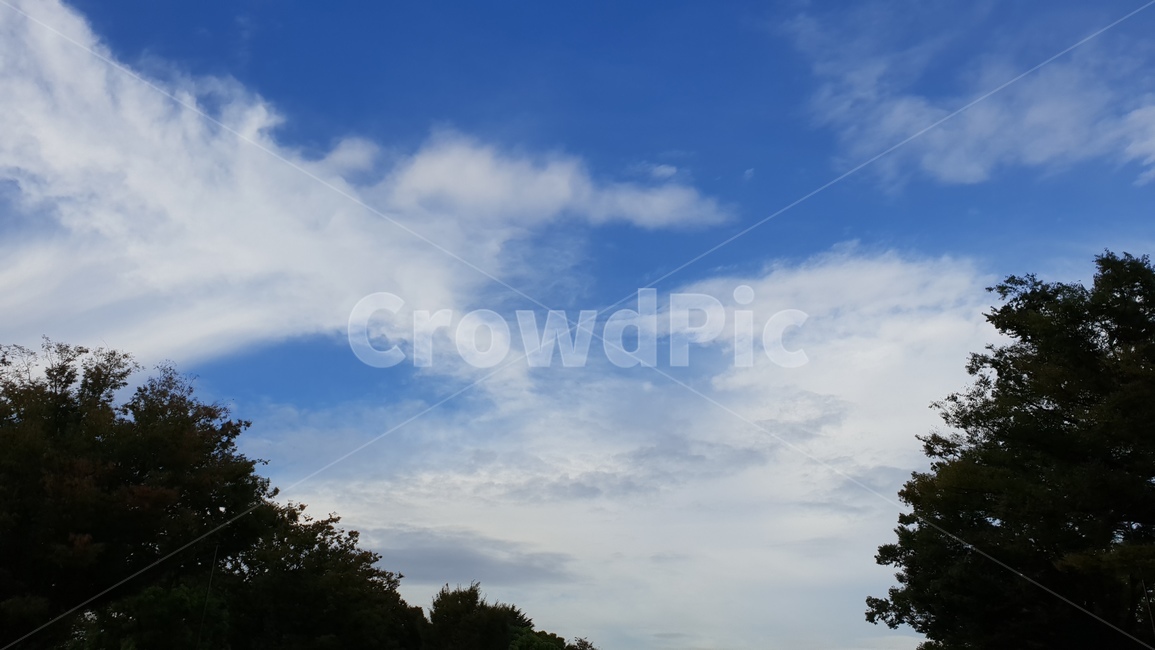 하늘,구름,풍경,자연,나무,자연,풍경,nature,landscape,outdoors,옥외