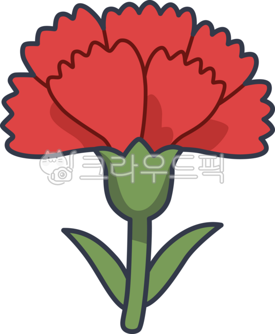 카네이션,빨간카네이션,어버이날,스승의날,선물,감사,꽃,식물,레드,가정의달,5월,기념일,감사선물