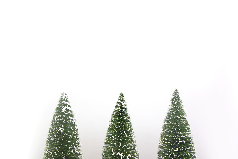 나무,눈,겨울,크리스마스,이벤트,프레임,겨울,계절,winter,season,메리크리스마스,성탄절,merry christmas,그래픽,일러스트레이션,graphic,illustration