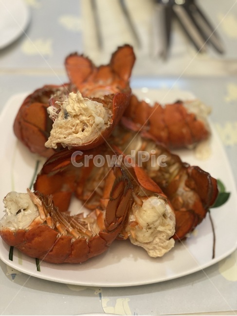 해물,랍스터,음식,food,lobster,음식,식재료,요리,food,cook,meal,dishes,food reserves,수산물,해산물,fishery products,seafood