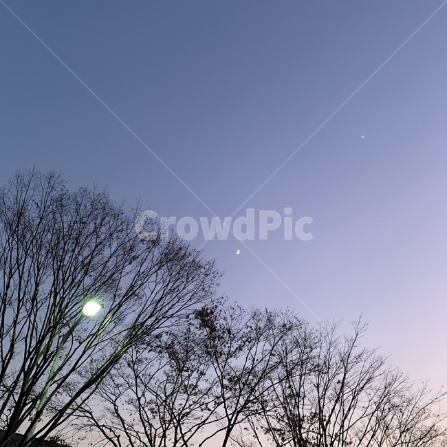 달,자연,nature,보라색,하늘,moon,outdoors,옥외,분위기,자연,풍경,nature,landscape