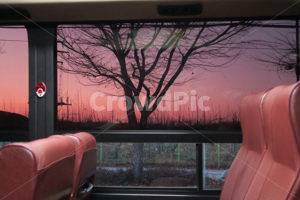 버스,버스안,풍경,색감,썬팅,선팅,컬러,칼라,나무,bus,landscape,cityscape,scenery,color,colors,교통,교통수단,traffic,transportation