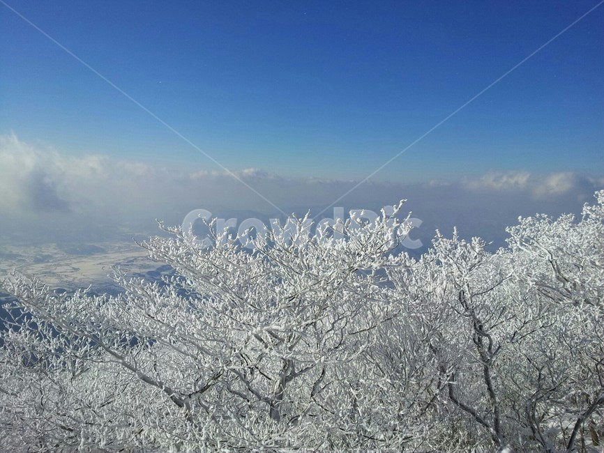 자연,겨울산,눈,산,안개,눈꽃,wintermountain