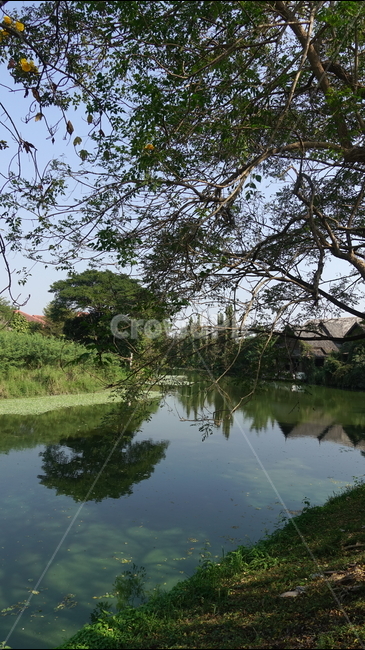 water,물,nature,outdoors,옥외,못,연못