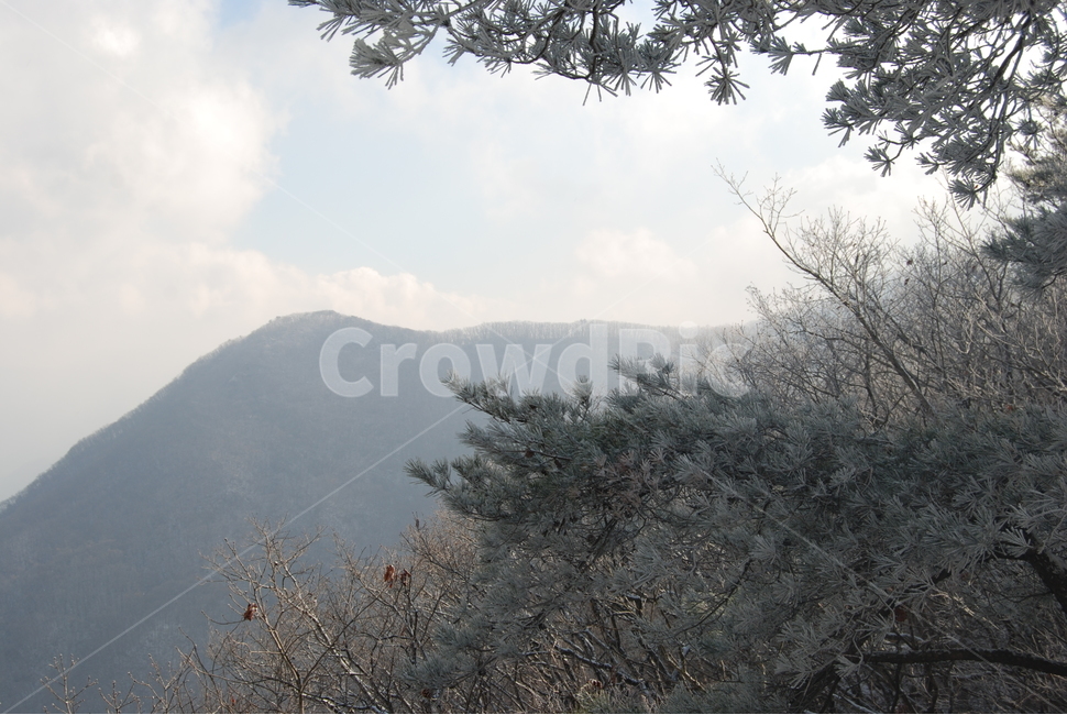 백화산,자연,하늘,구름,등산로,자연,풍경,nature,landscape,식물,plants,나무,trees,wood,tree,plant,outdoors,옥외