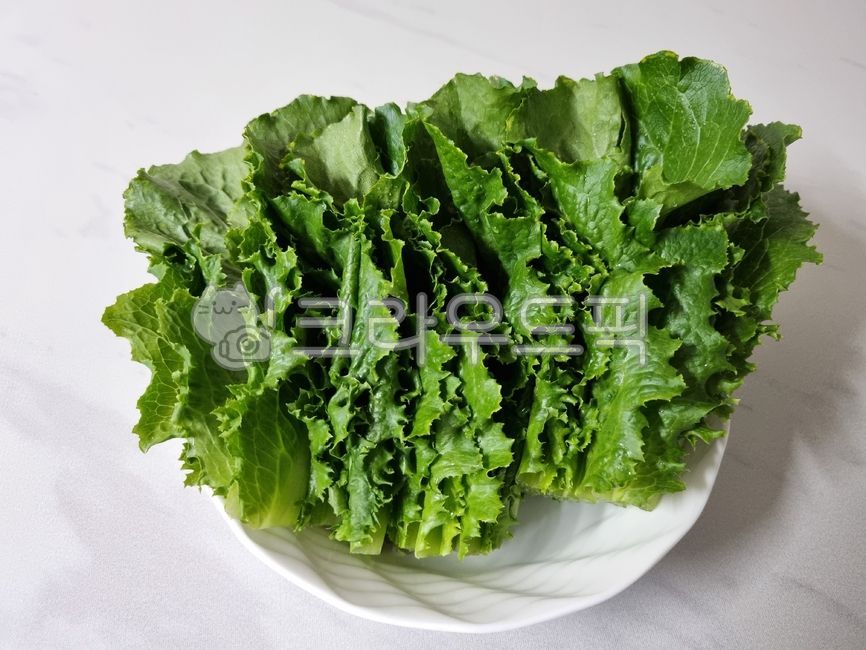 음식,food,상추,lettuce,채소,vegetable,식재료,요리재료,음식재료,foodstuff,cookingmaterial,foodmaterial