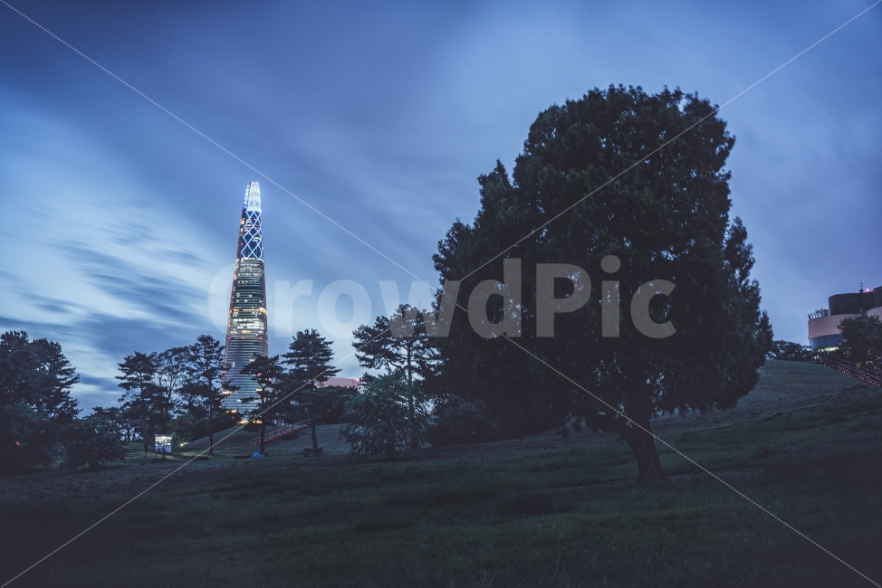 올림픽공원,나홀로나무,왕따나무,롯데월드타워,풍경,야경,landscape,nightview,nightscape,야경,밤,풍경,nightscape,night,landscape,랜드마크,landmark,tourist attraction,architecture,건축물,building,건물
