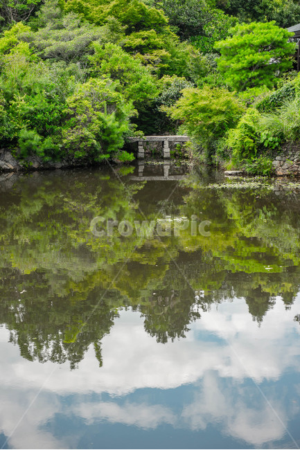물,자연,nature,연못,pond