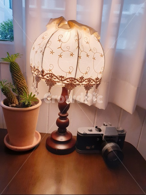 lamp,램프,테이블,인테리어,전등,선인장