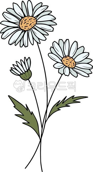 birthday,line,Tattoo,flower design,Line illustration,line drawing,april,drawing,vector,daisy flower,daisy,flower painting,birth flower,tattoo design,floral design,Sun illustration,flower,painting,flower illustration,line art,plant illustration,plant