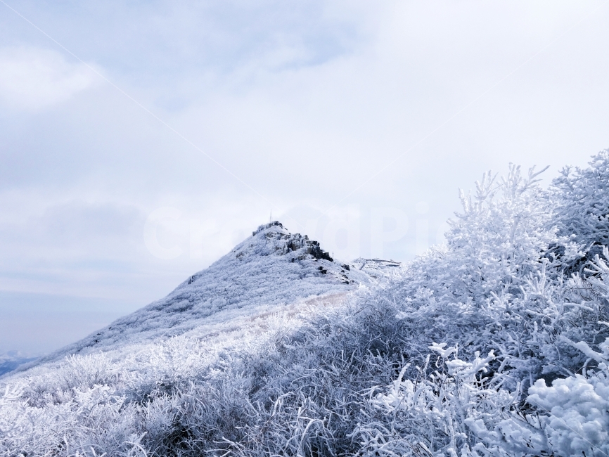 광주광역시,무등산국립공원,겨울,산,상고대,눈,자연,풍경,nature,landscape,겨울,계절,winter,season,outdoors,옥외,mountain